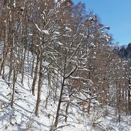 ホテル Grand Tirolia - Member Of Hommage Luxury Collection