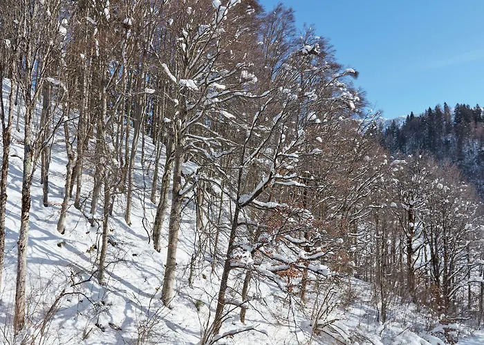 호텔 Grand Tirolia - Member Of Hommage Luxury Collection